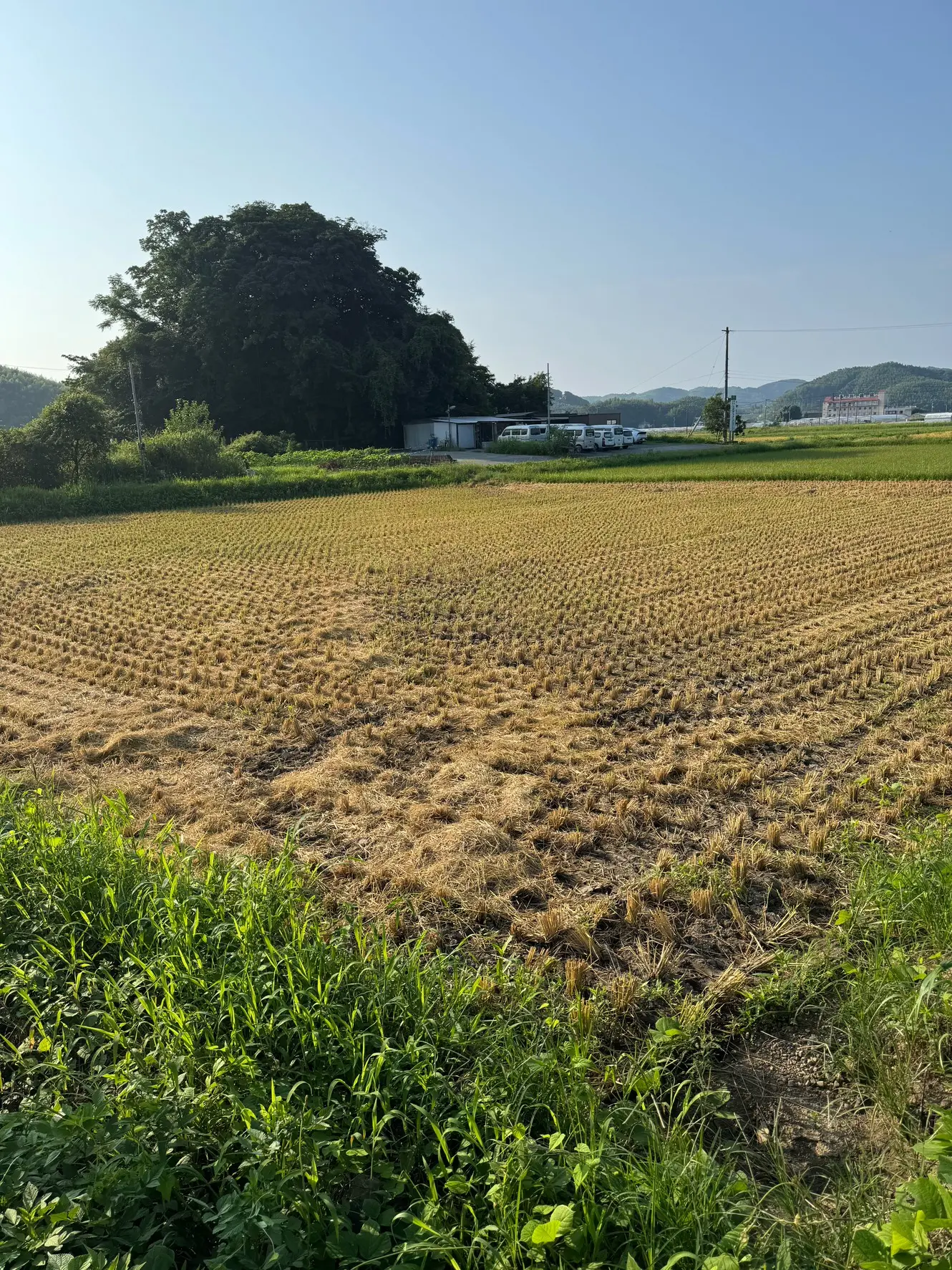 クリークファーム