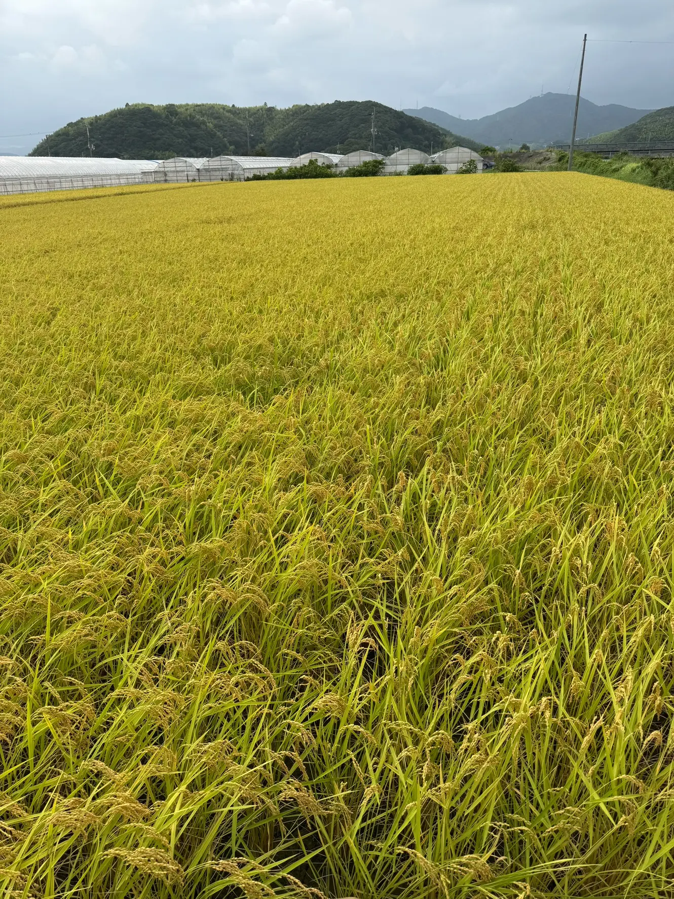 クリークファーム