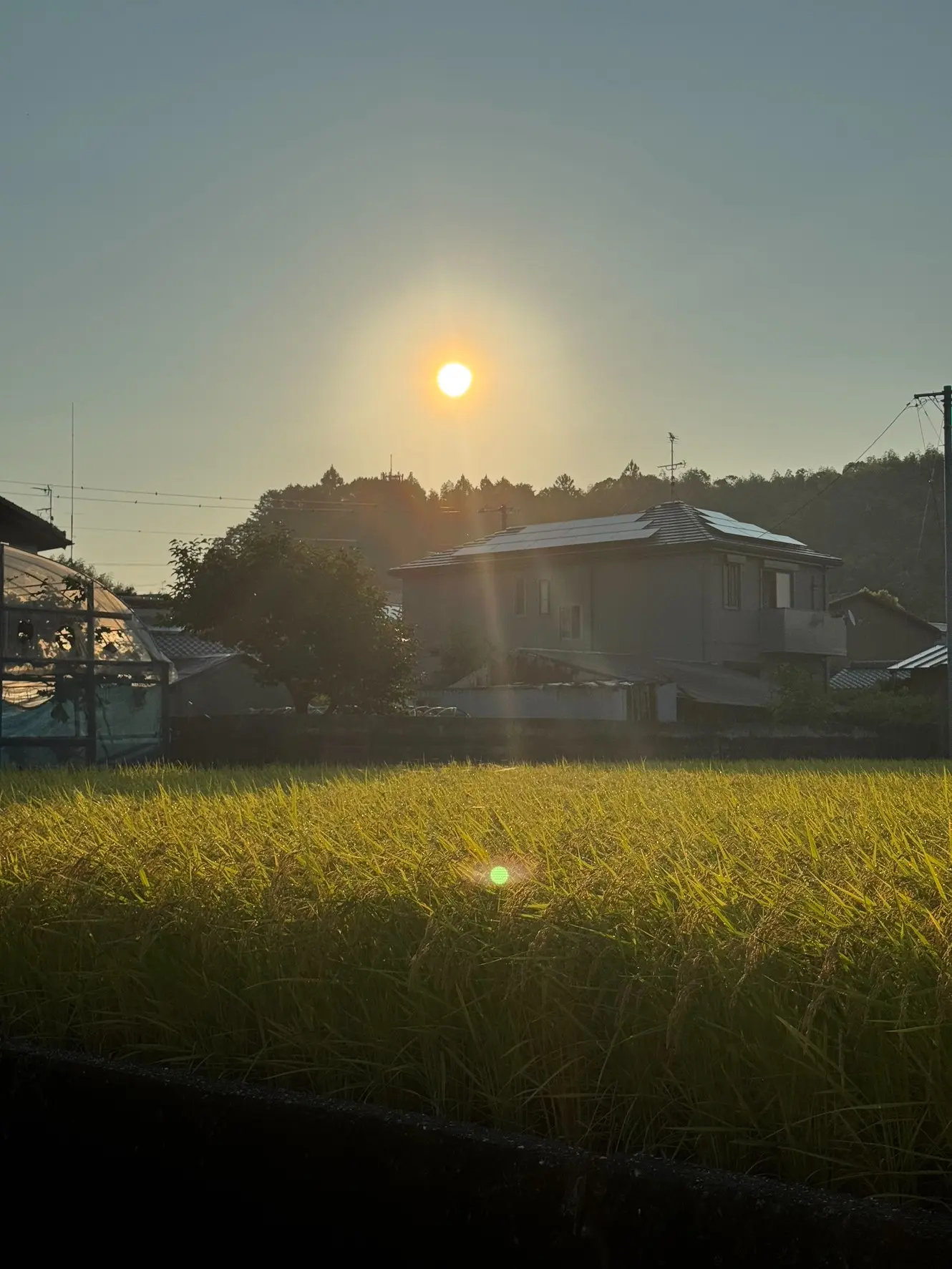 クリークファーム