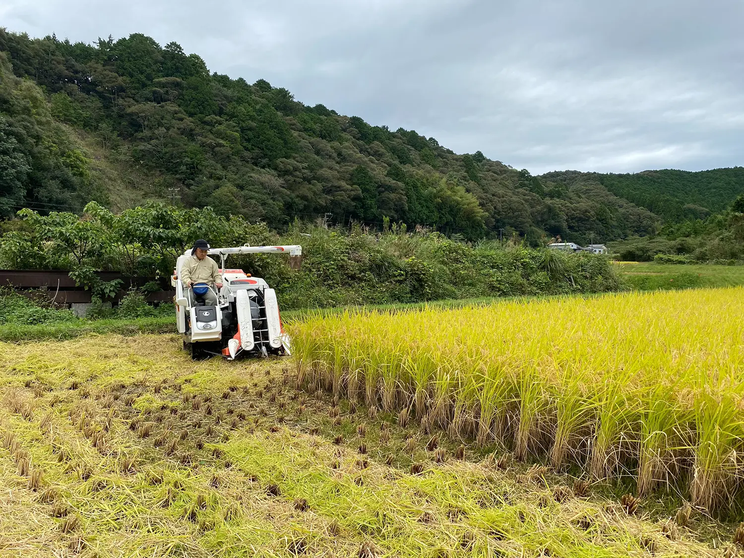 クリークファーム